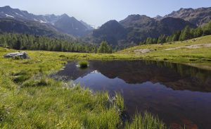 Vacanze, Suedtirol, Ultental, kleiner Teich, oberhalb des Fischersees, Windstille, Spiegelung,