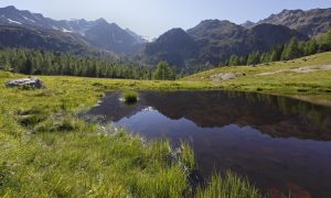 Suedtirol, Ultental, kleiner Teich, oberhalb des Fischersees, Windstille, Spiegelung,