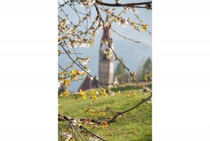 Kirche Dorf St. Pankraz, Ultental