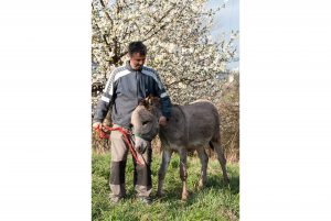 Klaus mit Esel auf der Wiese, St. Pankraz, Ultental