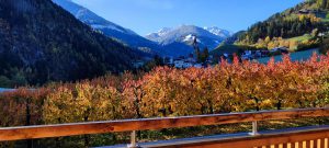 Im Kirschgarten, Apartment, Aussicht