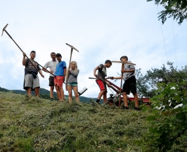 Mithelfen auf dem Bauernhof