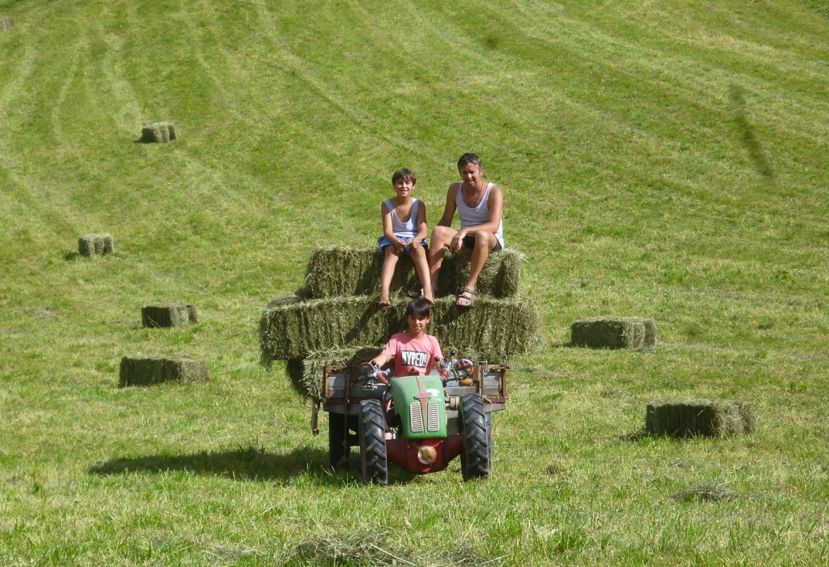 Paul fährt den Heuwagen